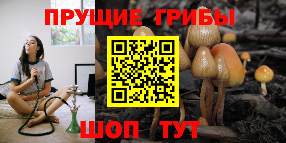 Краснокамск  Галлюциногенные грибы ЛСД  Вход с VPN  Псилоцибиновые грибы Psilocybe 